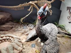 -自贡恐龙博物馆