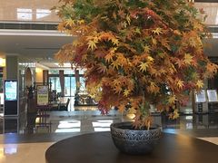 -天目湖御水温泉·度假酒店