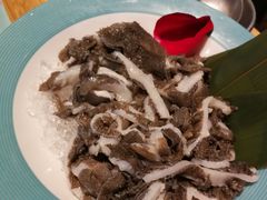 -青瓷火锅料理(西单大悦城店)
