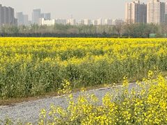 -汉长安城未央宫国家考古遗址公园