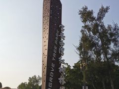 -宝安西湾红树林湿地公园