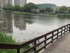 景点-新江湾城公园