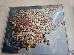 -吐斯廉屠杀博物馆