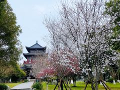 -堤角公园