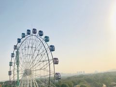 -花博汇(知音花月夜)
