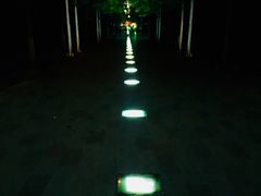 -暨阳湖生态园