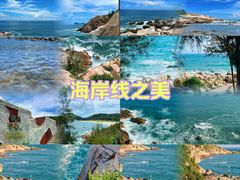 -广东惠东海龟国家级自然保护区