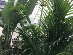 -时间逆·烘焙