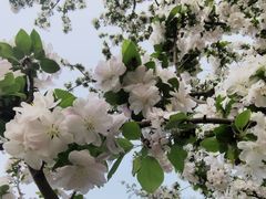 -元大都城垣遗址公园