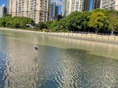 -苏州河梦清园环保主题公园