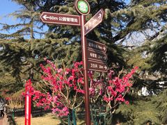 -莲花池公园