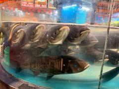 -魏铭鱼头捞饭(晋阳路店)