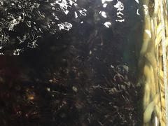-马路边上·小海鲜烧烤(八一路店)