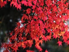 -西山漾湿地公园