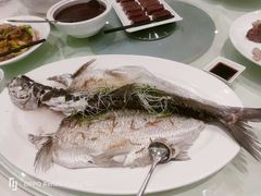 -兴悦酒家(环市东路店)