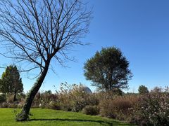 -圣露庄园·露营·烤肉·亲子