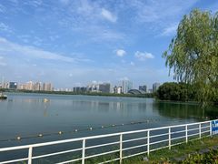 -天鹅湖体育公园