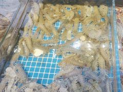 -大锅强·蒸海鲜青岛菜(吾悦广场店)