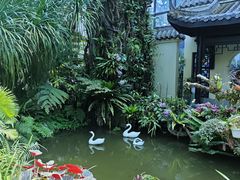 -东莞植物园