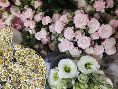 -双季花艺园艺市场(浦东店)