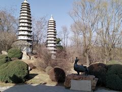 -沈阳植物园