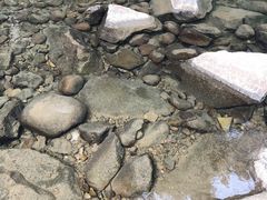 -福建天门山