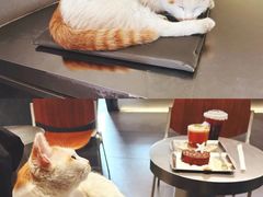 -Jap Jap Cafe(美院店)