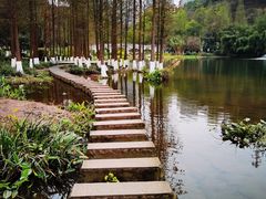 -重庆彩云湖湿地公园