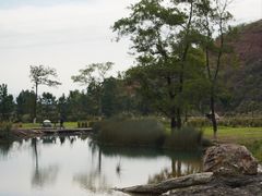 -海珠湖公园
