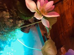 -韵秋荷(宝山龙湖天街店)