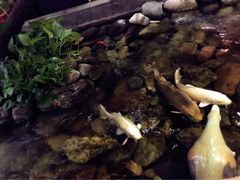 -山有花啡餐厅(常营总店)