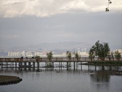 -洱海月湿地公园