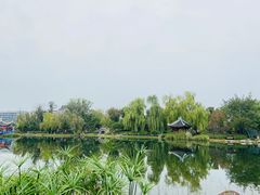 -北湖公园