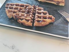 -喵园·猫主题咖啡厅·撸猫·猫咖(国贸店)