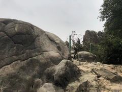 -南山植物园