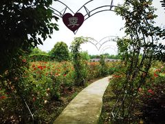 -金色田园农家乐餐厅