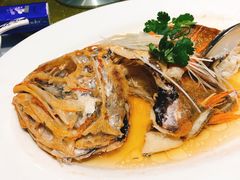 -席家花园(巨鹿花园店)