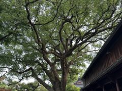 -普陀山风景名胜区-法雨禅寺