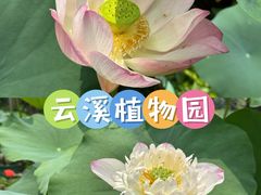 -云溪植物园
