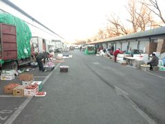 -北京清河镇农副产品交易市场中心