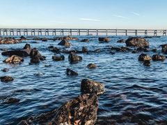 -大连圣亚海洋世界