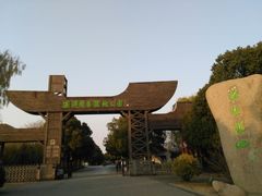 -溱湖国家湿地公园