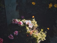 -钰洁腊排骨火锅