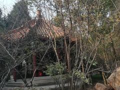 -富乐山