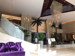 -常州环球恐龙城维景国际大酒店