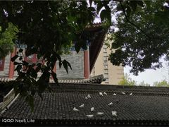 -西安大兴善寺