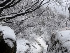 -秦岭终南山世界地质公园翠华山景区