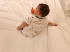 -上海崇明金茂凯悦酒店