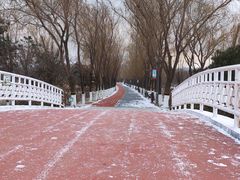 -大兴滨河森林公园