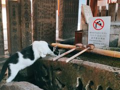 -Hōzen-ji Temple法善寺